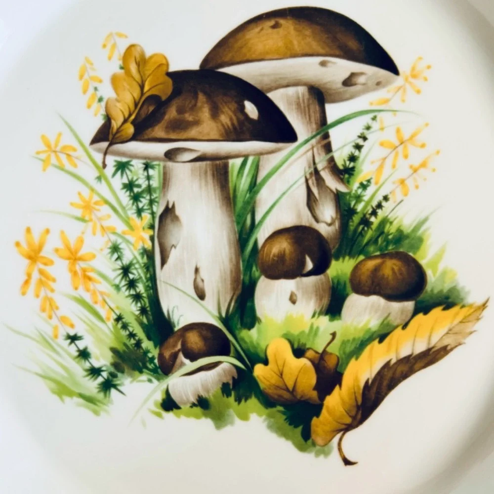 Vtg French Louise Lourioux Wild Mushroom Porcelain 11” diameter baking dish